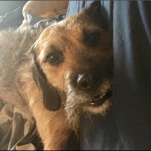 🌺🦄Meet your posher, KRISTIN!🦄🌺 - Picture 2 of 8